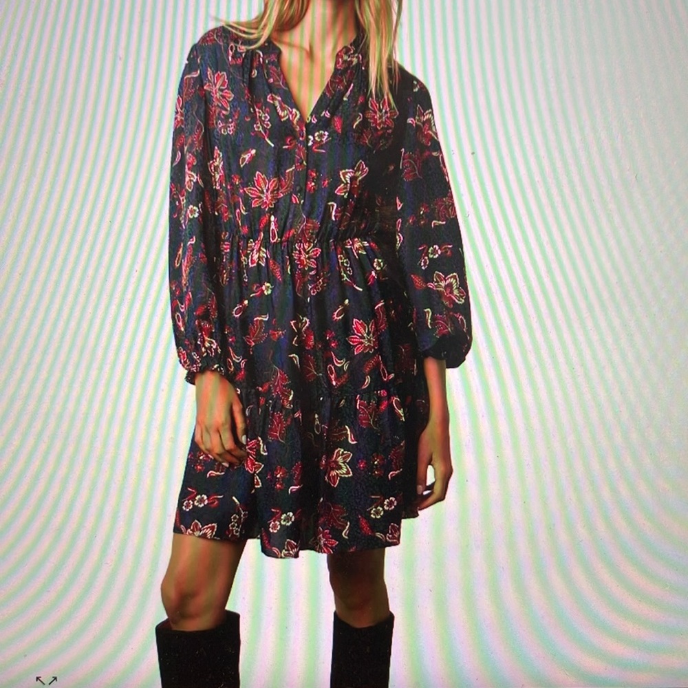 Gerard Darel Josefina Florine print dress Sz 40 US6-8
